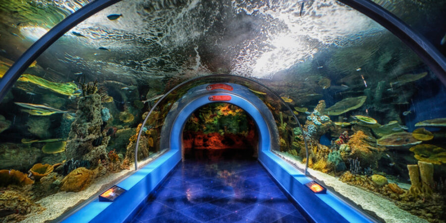 Things to do in Jeddah